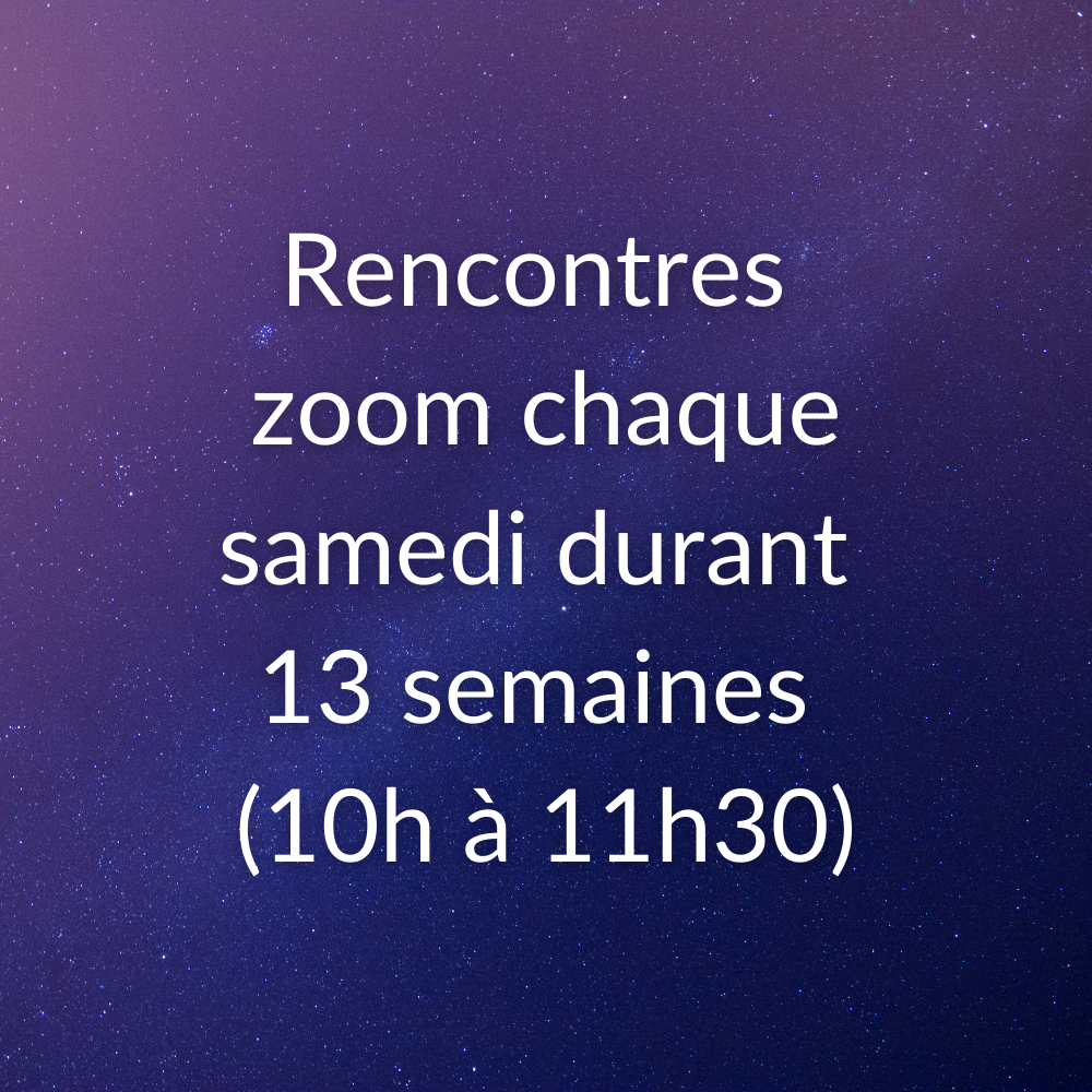 rencontres_zoom_formation_france_labelle